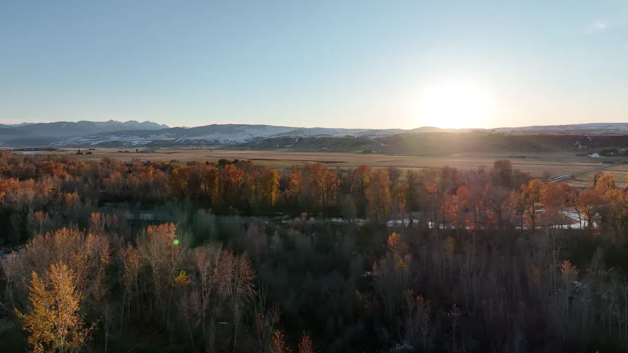 Golden cottonwoods in a Montana valley, the sun low over the mountains